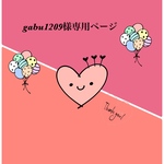 gabu1209様専用ページになります。