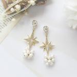 *3453*Simple bijou×Star earring／pierce(クリスタル)