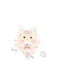 専用ページ