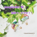 anmymickey 様専用ページです！！
