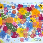 ♡new♡  ♡可愛い押し花セット♡ ♡たくさん入って使いやすい押し花セット♡