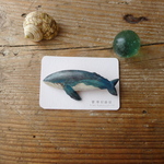 新！木製ブローチ（ザトウクジラ）