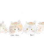 専用ページ