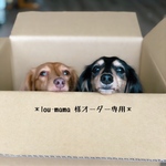 lou-mama様専用です