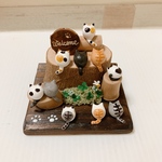 10匹のwelcomeにゃんこ