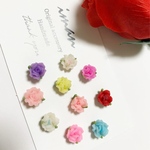 ＊P76＊樹脂薔薇セット
