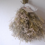 かすみ草となずなの、ふんわりスワッグ✳︎✴︎