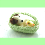 かご犬 with 小鳥