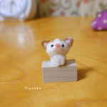 【ご依頼品】ご依頼の猫ちゃん
