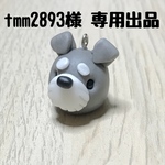 tmm2893様 専用出品