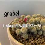 t-skseさん専用。