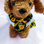 胴35 着丈24🌻 犬服ひまわりキャミワンピ🌻