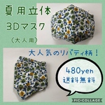 【送料無料】夏用！３Ｄ立体設計マスク