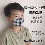 【送料無料】夏マスク  子供  接触冷感   Nクールスーパー  抗菌消臭  ひんやり 子供 女の子 男の子 キッズ ジュニア  立体マスク 洗える