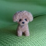 オーダー品 トイプードル アプリコット ストラップ 羊毛フェルト