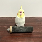 備長炭パーチ（S）