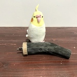 備長炭パーチ（S）