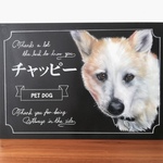 ペット似顔絵1匹A4サイズ
