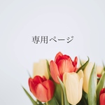 専用ページ(カスタマイズイヤリング2点)