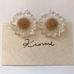 デイジー❁ピアス＆イヤリング