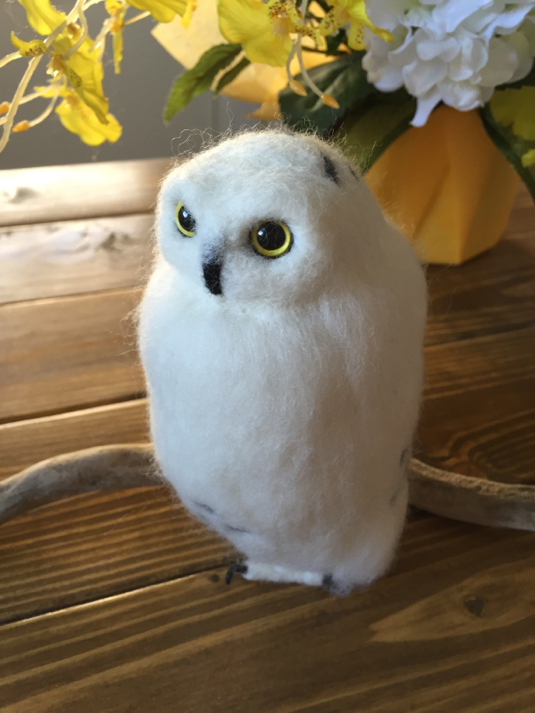 ぜいたくフクロウ 白い 美しい花の画像