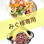 みぐ様専用