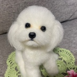 羊毛フェルト　犬　マルチーズ
