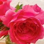 yuumam様オーダー品