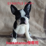 羊毛フェルト【うちのブヒ】オーダーhamatarou様専用