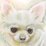 チワワ似顔絵（水彩画ワンちゃんイラスト原画）／売上の一部は犬猫のための寄付に