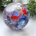 球体金魚～オーロラパープル（大）