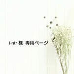 ☆  i-ntr様 専用  ☆