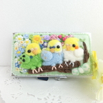花咲く◆インコさんズ◆ピルケース◆セキセイインコ◆オカメインコ