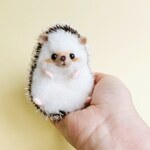 形が変えれる！？ミニハリネズミのぬいぐるみA※キーホルダーやストラップへの変更も可能です。
