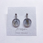灰色(はいか) ピアス・イヤリング 【15mm】