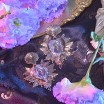 Reliquiae of MARIA