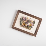 Botanical garden frame #1 Botanical標本　植物図鑑