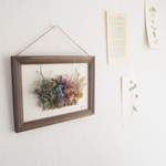 Botanical garden frame #2  Botanical標本　植物図鑑