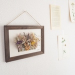 Botanical garden frame #3  Botanical標本　植物図鑑
