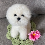 羊毛フェルト　ビションフリーゼ　犬　トイプードル　アフロ
