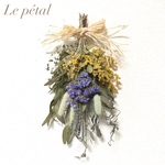 ドライフラワースワッグ＊ユーカリ&ミモザ