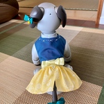 アイボ  服・黄色〜aibo