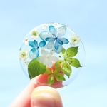 紫陽花　お花のブローチ／ヘアゴム