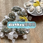 die4key様専用ページ