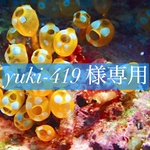 <専用>〜7月のウミウシさんたち〜