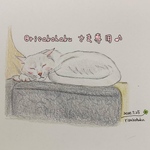 @risakohaku さま専用♪