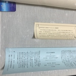 スポエリーアイスコットン　アイスコットン　薄いグレー　39.0cm×50.0cm
