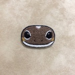 お顔ブローチ　ニシアフリカトカゲモドキ