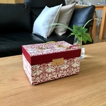 *＊カルトナージュのマネーボックス （brother rabbit レッド）＊*