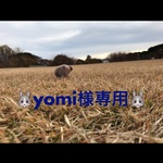 🐰yomi様専用🐰